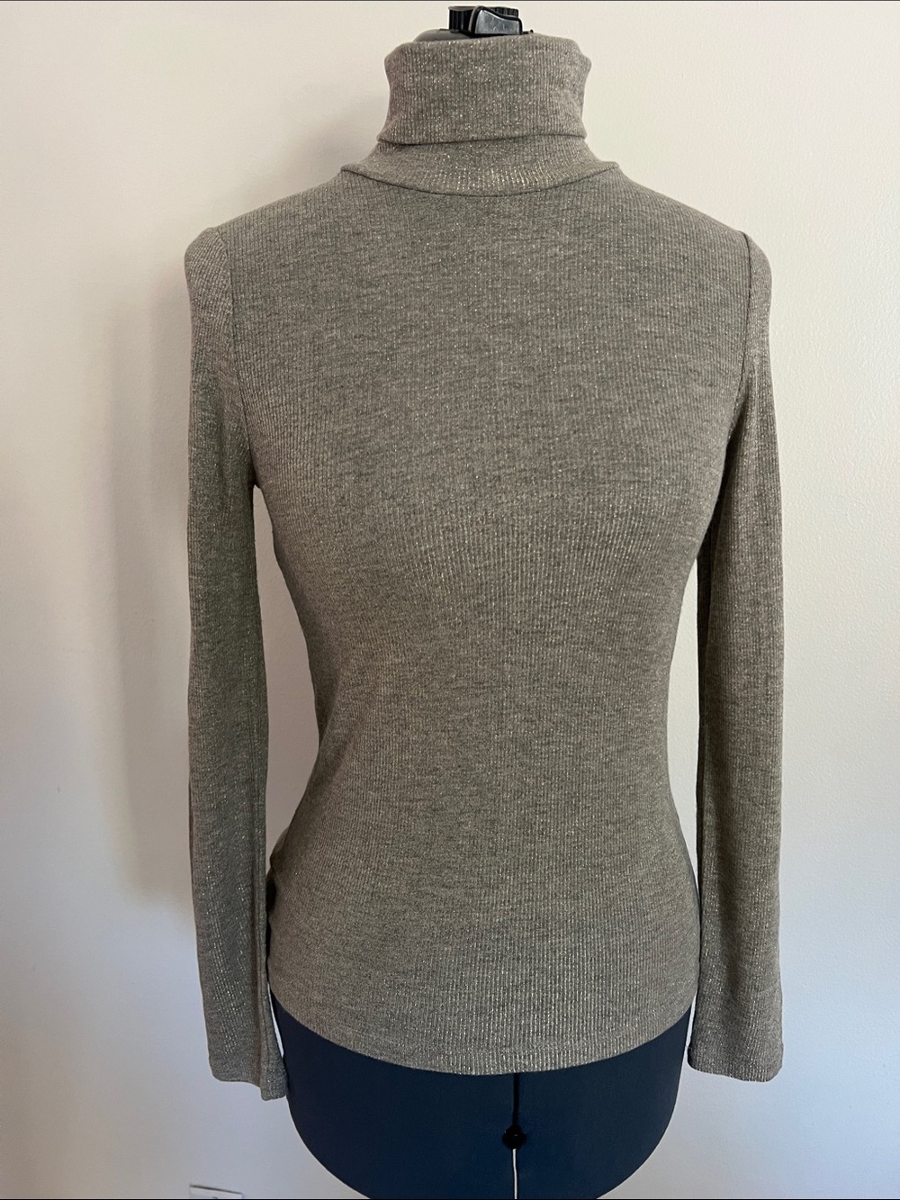 Madewell Night Sparkle Turtleneck Long Sleeve Silver Shimmer Glitter